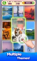 Card Master