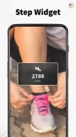 Pedometer King