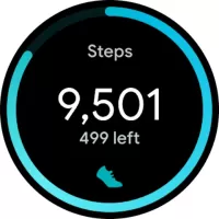 Fitbit