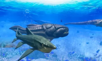 Helicoprion Simulator