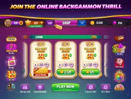 Backgammon Plus - Board Game