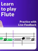 Flute Lessons - tonestro