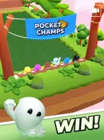 Pocket Champs