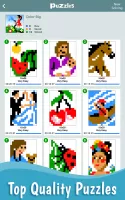 Pic-a-Pix: Nonogram Color