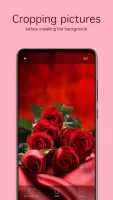Rose Wallpapers 4K