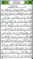 القرآن الكريم - مصحف التجويد ا