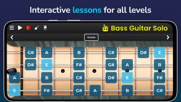 Bass Guitar Solo