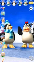 Talking Pengu & Penga Penguin