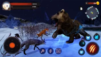 The Bear