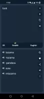 Swahili - English Translator