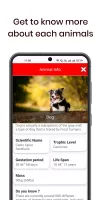 150 Animal Sounds