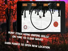 Deer Hunting in Hunter Valley