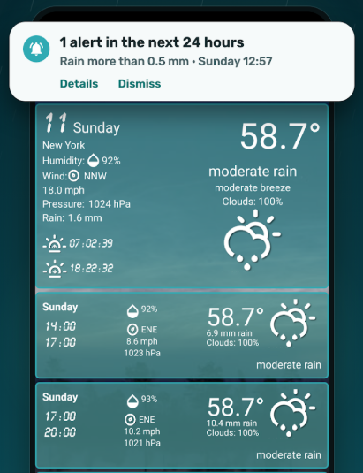 Custom Weather Alerts