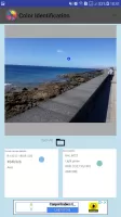 Color Identification