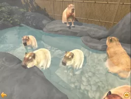 Capybara Zoo