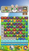 Farm Raid