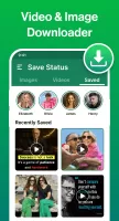 Status Saver