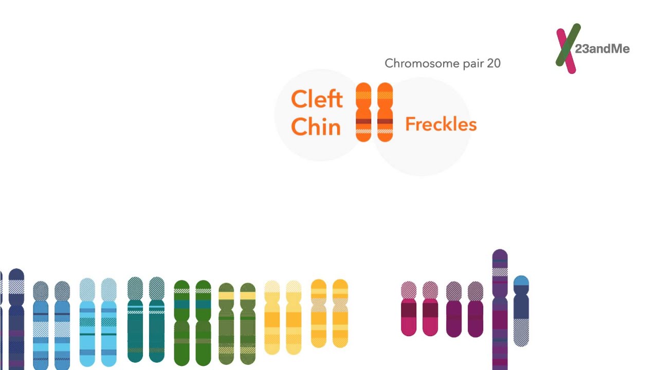 What does your DNA say about you?