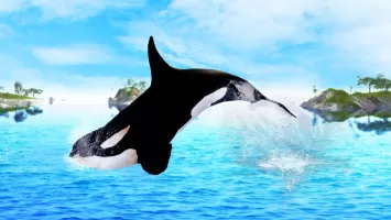 The Killer Whale