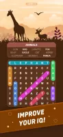 Word Search Explorer