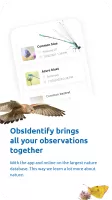 ObsIdentify