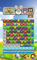 Farm Raid