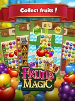 Fruits Magic Sweet Garden