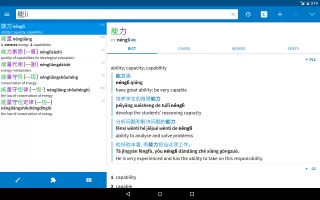 Pleco Chinese Dictionary