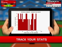 Stick Cricket Classic