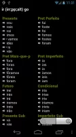 Portuguese Verbs