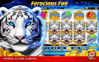 World Class Casino