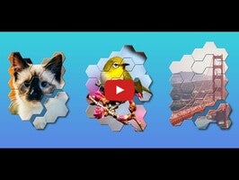 Block hexa jigsaw puzzle Gameplay