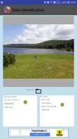 Color Identification