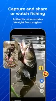 FISHSURFING