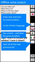 Offline Translator: Italian-English