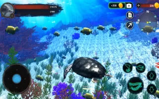 The Turtle