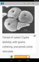 Science Dictionary by Farlex
