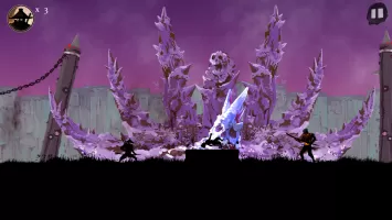 Ninja Arashi