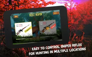 Deer Hunting in Hunter Valley