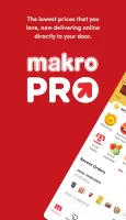 Makro PRO