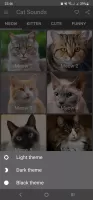 Cat Sounds