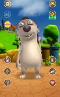 Talking Hedgehog