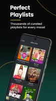 JioSaavn