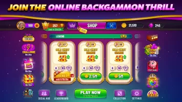 Backgammon Plus - Board Game