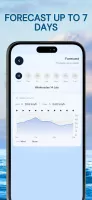 Wind Compass