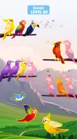 Bird Sort - Color Birds Game