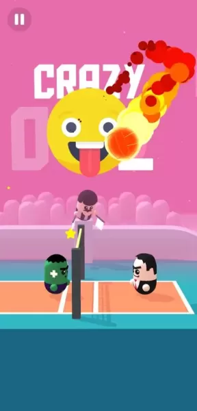 Volleyball Game - Volley Beans