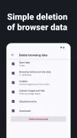 Internet Web Browser - ZEUS