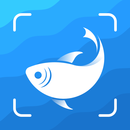 Picture Fish