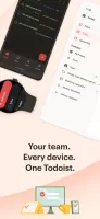 Todoist